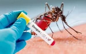 Brazil suspends dengue vaccine following two deaths