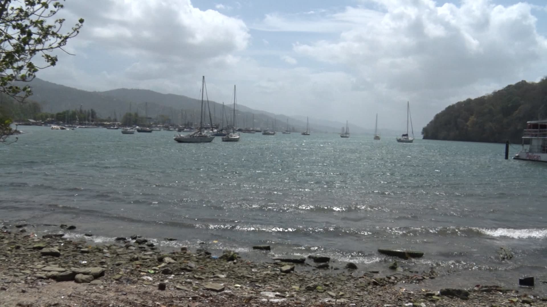 Workshop Launched To Tackle Underwater Noise Threat To Marine Life