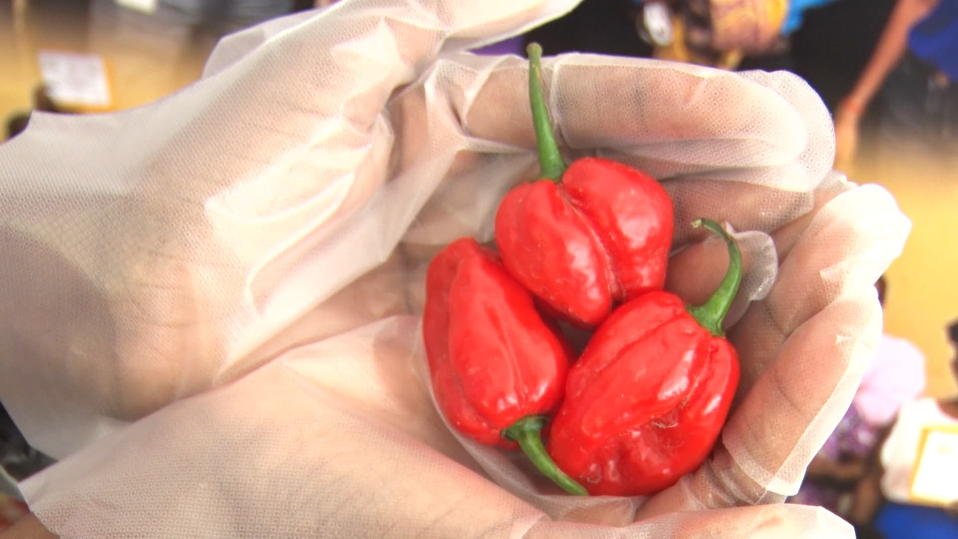 Government Eyes Global Market For T&T’s Hot Pepper Industry