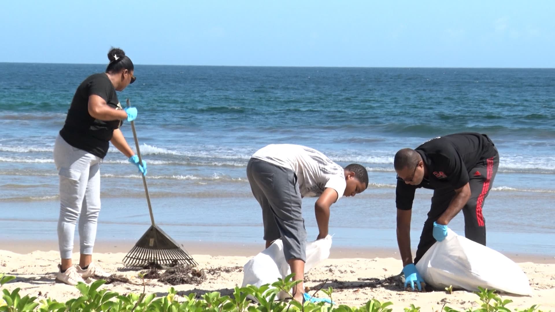 Volunteers Step Up To Protect Turtle Nesting Grounds At Las Cuevas Beach