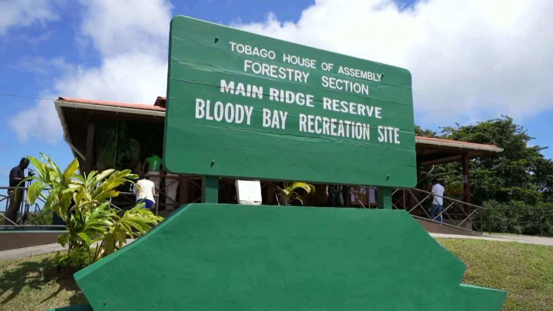 Main Ridge Rainforest Marks 250 Years As Western Hemisphere’s Oldest Reserve