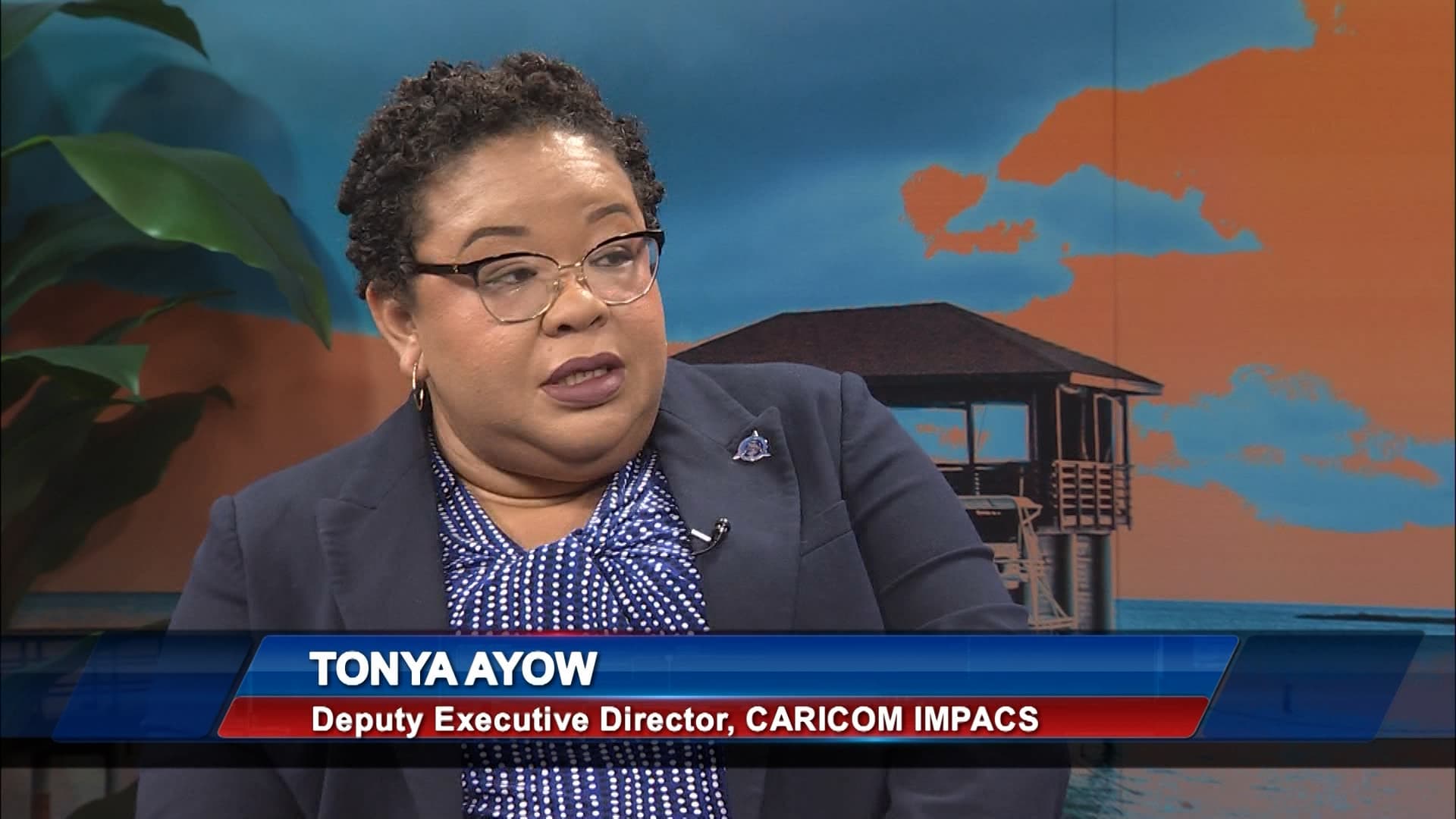 CARICOM IMPACS To Strengthen Regional Partnerships Against Illicit Firearms Trafficking