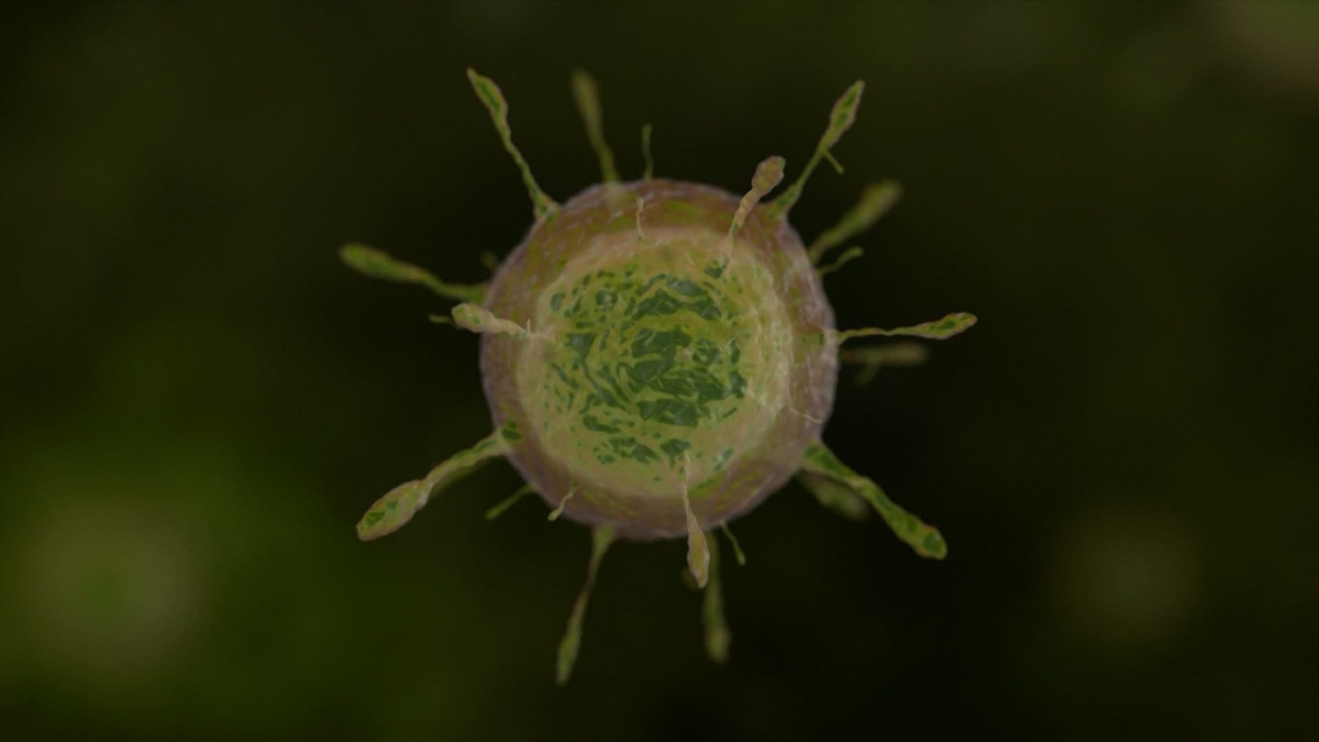 Low Risk But High Awareness: Hantavirus Cluster Raises Concern