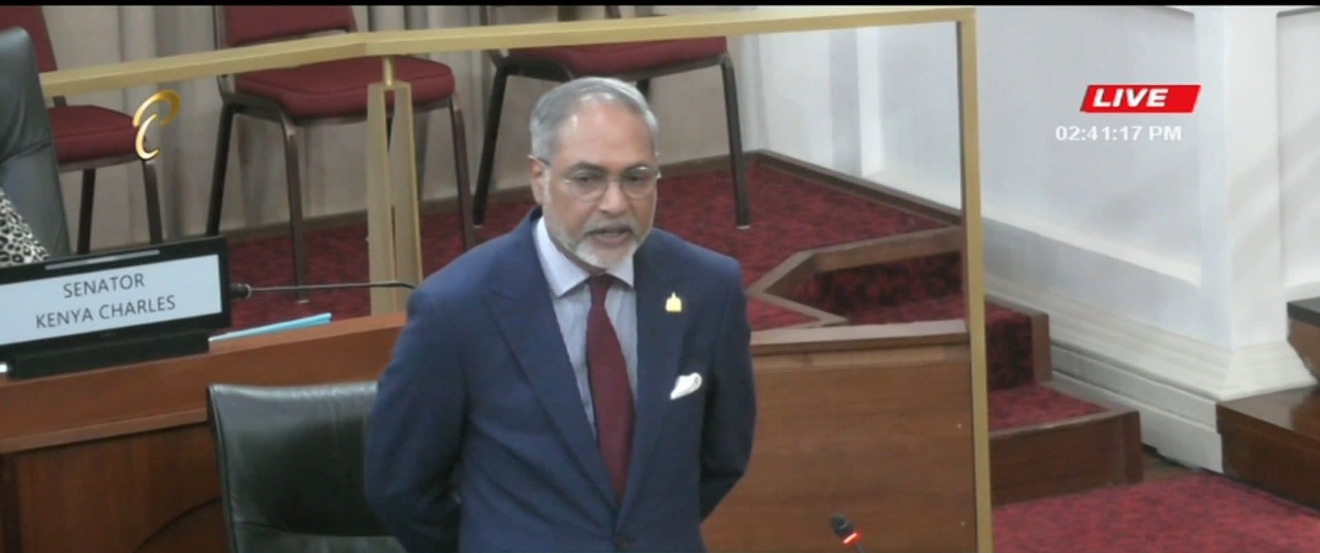 Senate Votes To Remove Janelle John-Bates From National Security Committee