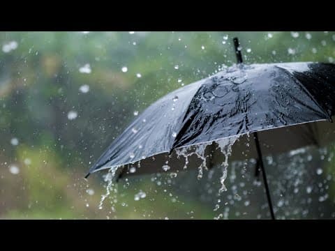 Met Office Declares Official Start Of 2026 Wet Season