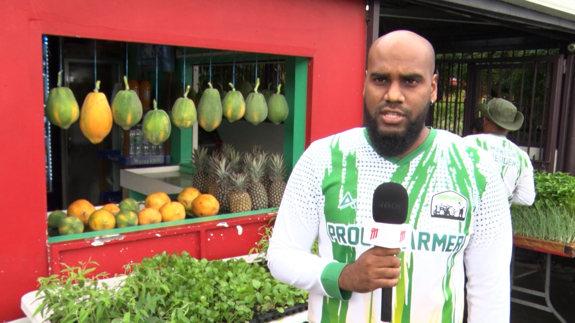 Free Seedling Drive Encourages Community Farming