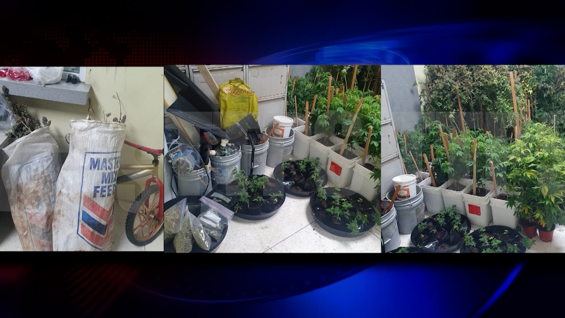 Shotgun And Ammunition Seized During Penal Police Operation