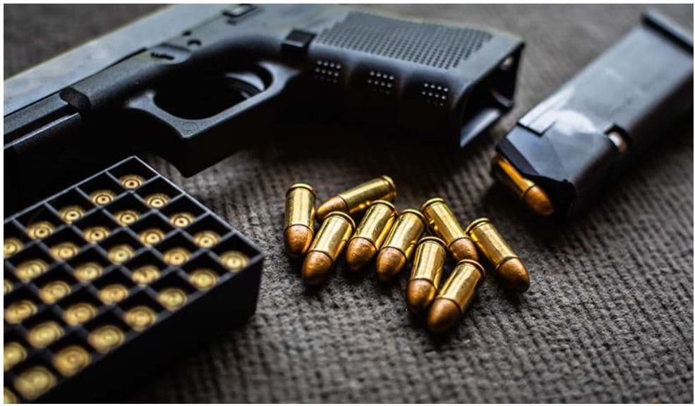 Like guns? Join security forces, says judge
