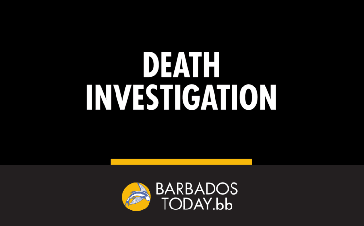 Pensioner found dead in car in St John