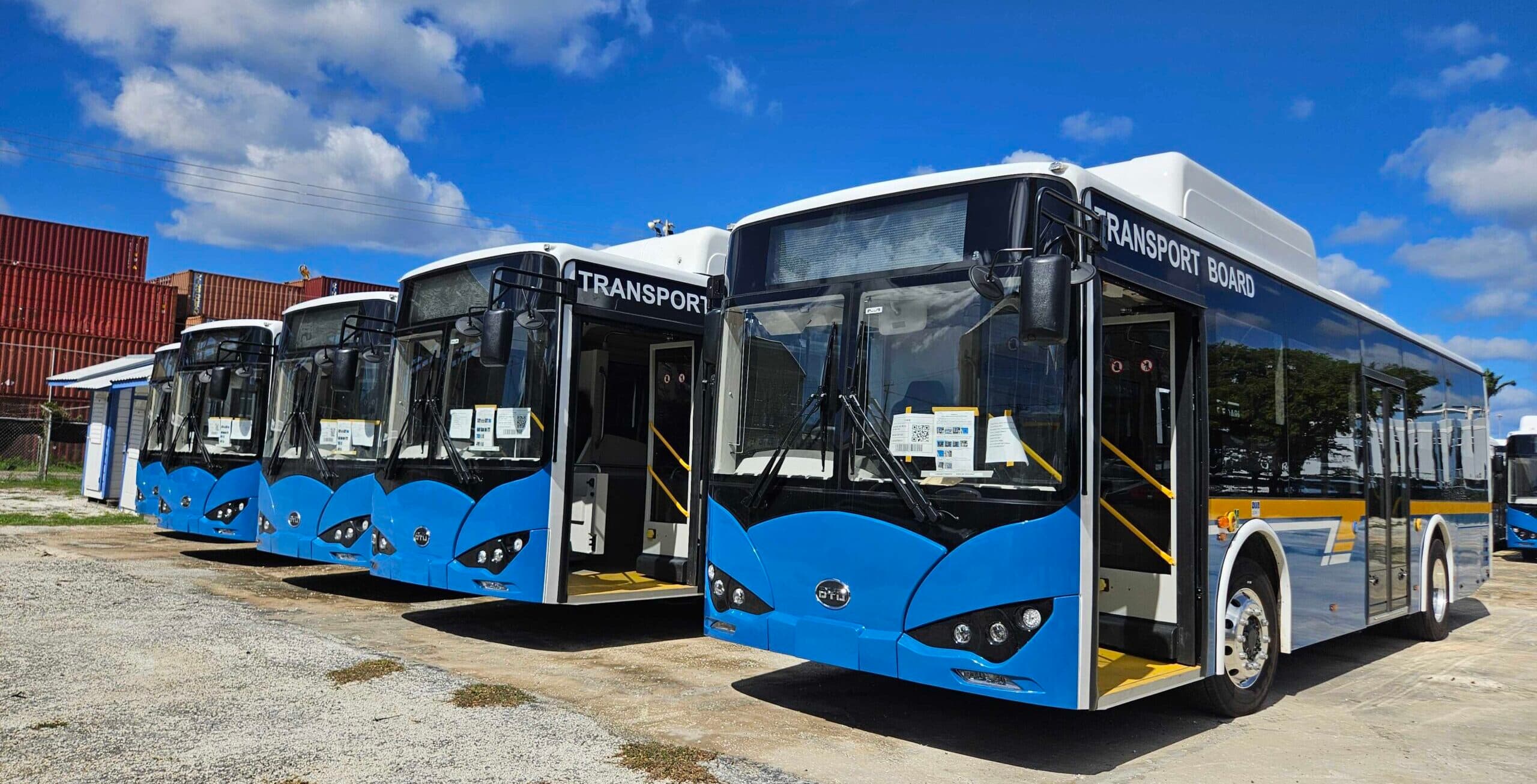 EDITORIAL: Public transport needs a major clean-up