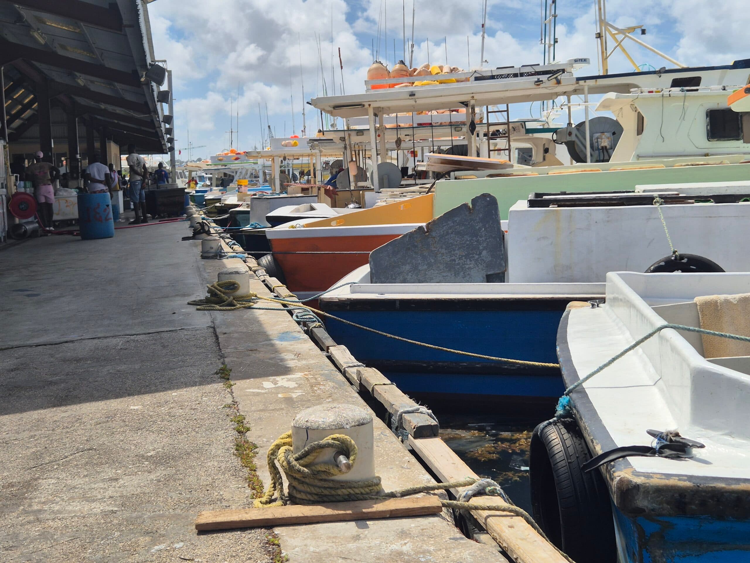 Fishers urged to adapt as catches shift