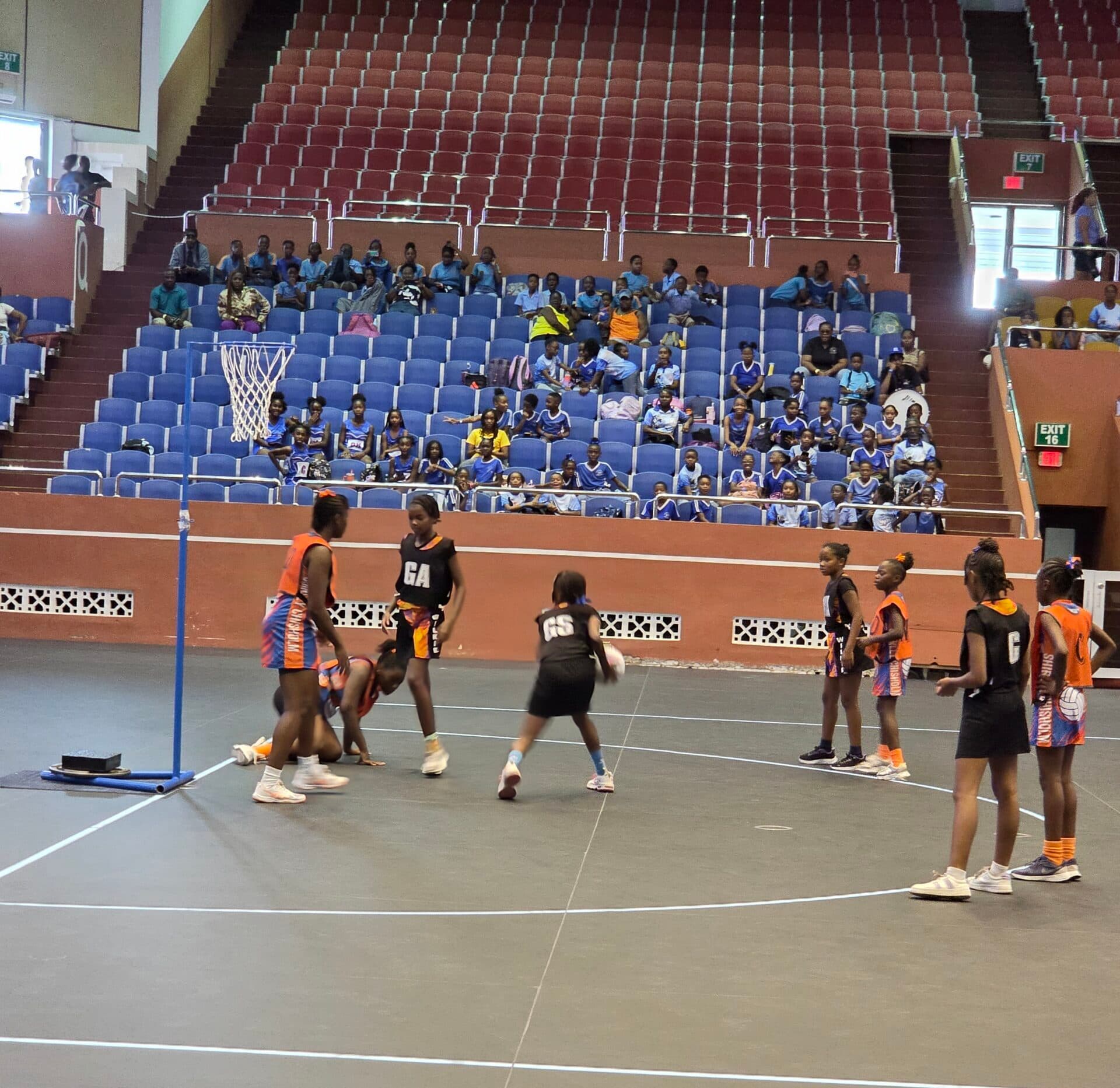 Defending champs advance to netball final
