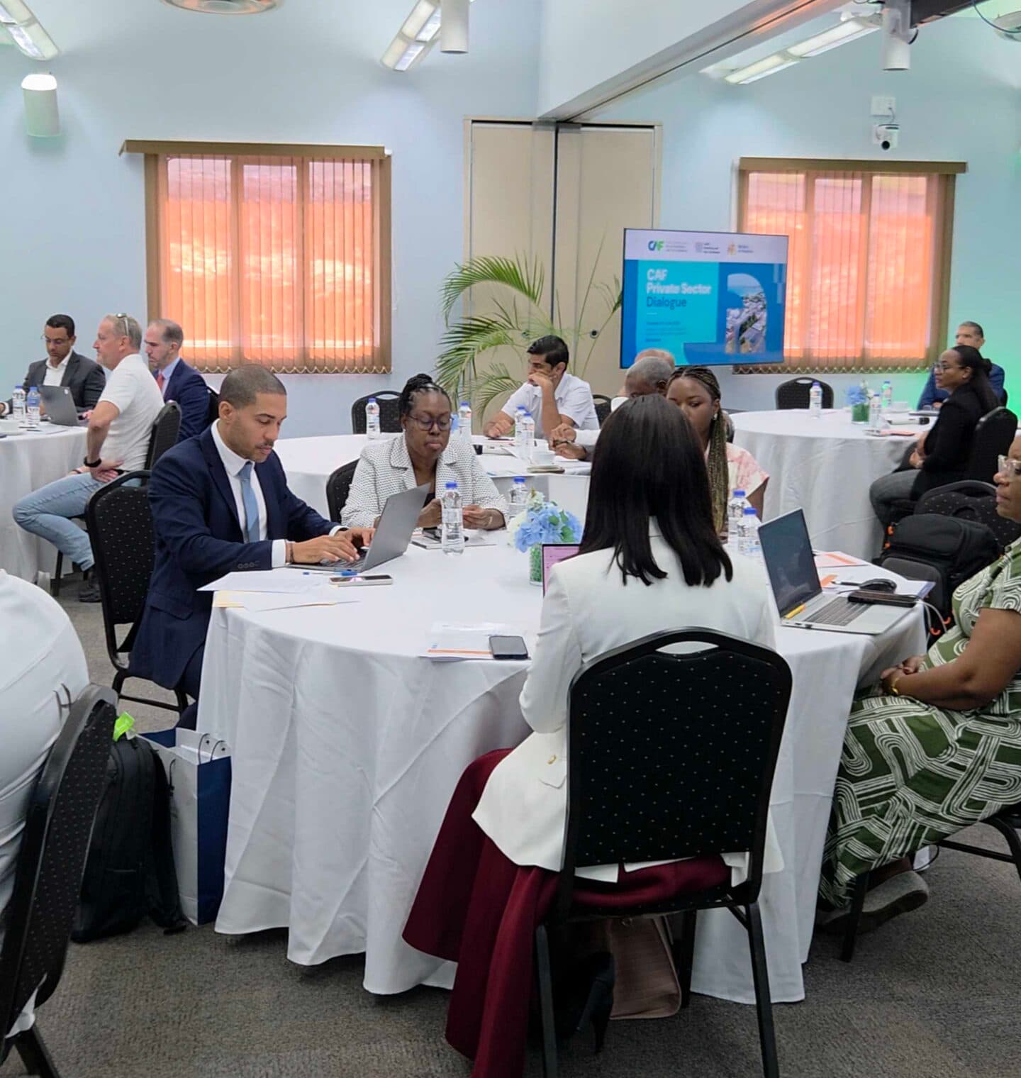 CAF urges central private sector role in growth plans