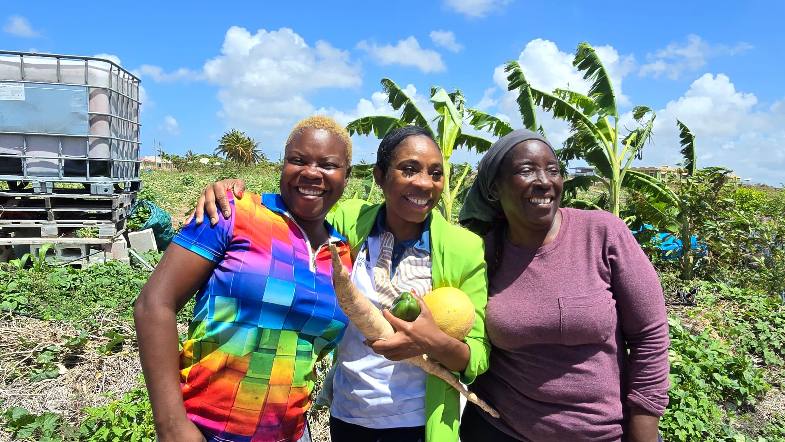Major farm support plan targets water, pests, crop theft