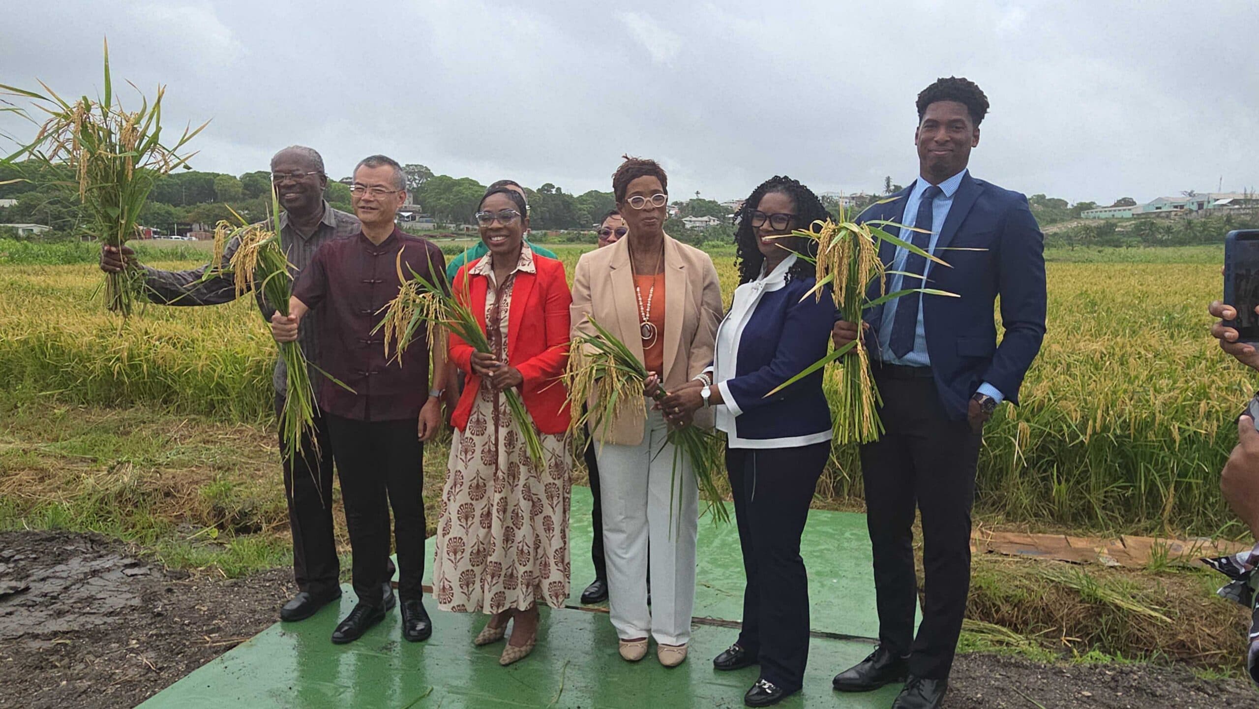 Agriculture ministry announces major farm export push, home food drive
