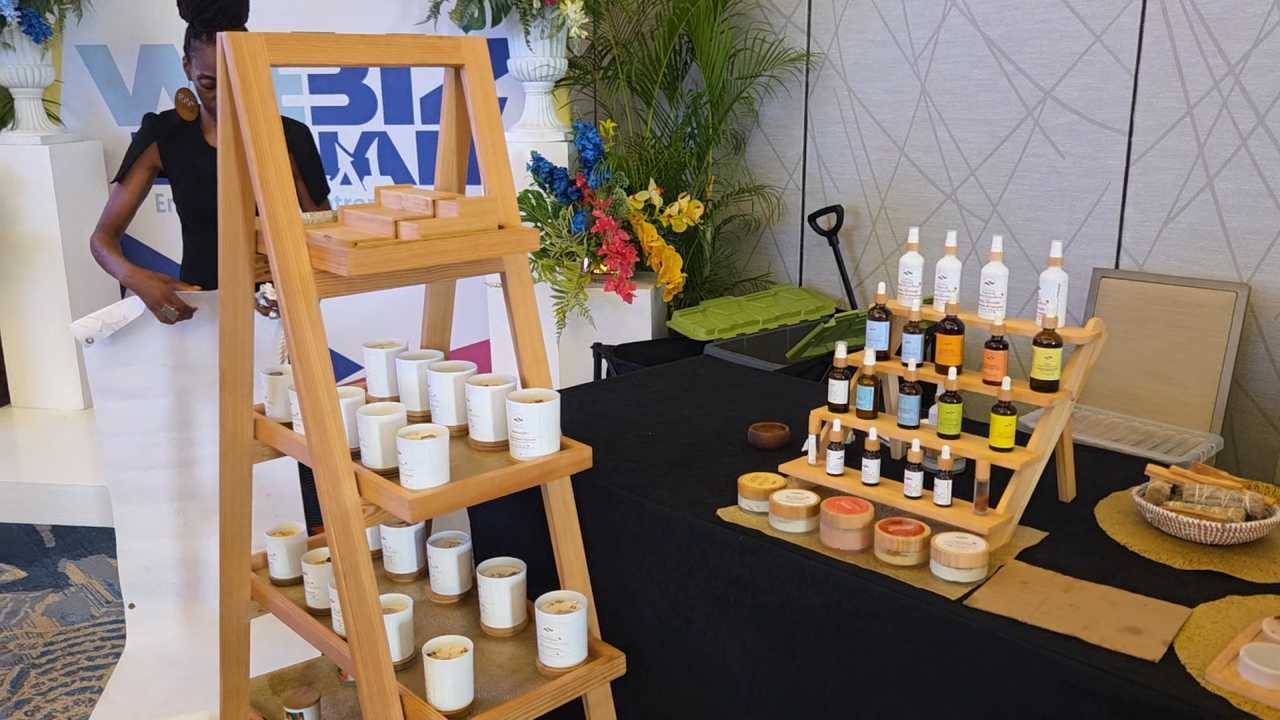 WeBiz Bajan launches to bring biz services into communities