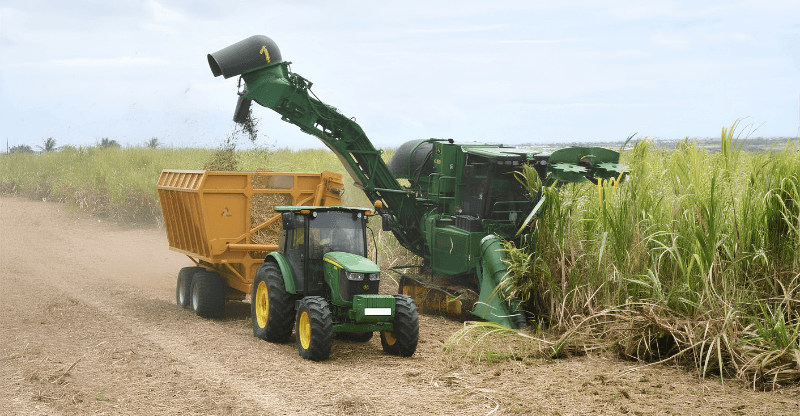 Ten jobs to go at BESCO after harvest as cost pressures mount