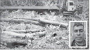 Tragic end of sawmill owner: Truck went over precipice 'in the blink of an eye'