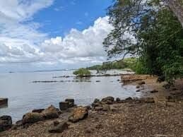 Man loses car, phone and faith in late lime with woman