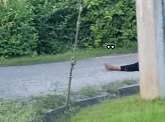 Woman flung from car, executed on street