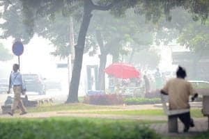 Woman kicked, robbed on Brian Lara Promenade