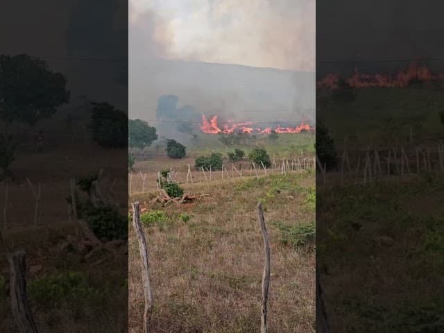 WATCH: Massive bush fire raging in St Elizabeth