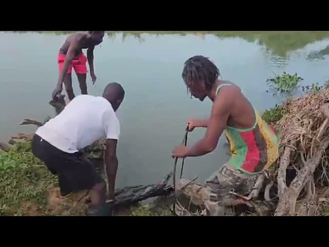 Search underway for missing St Elizabeth woman’s body; spouse rescued from mob, arrested