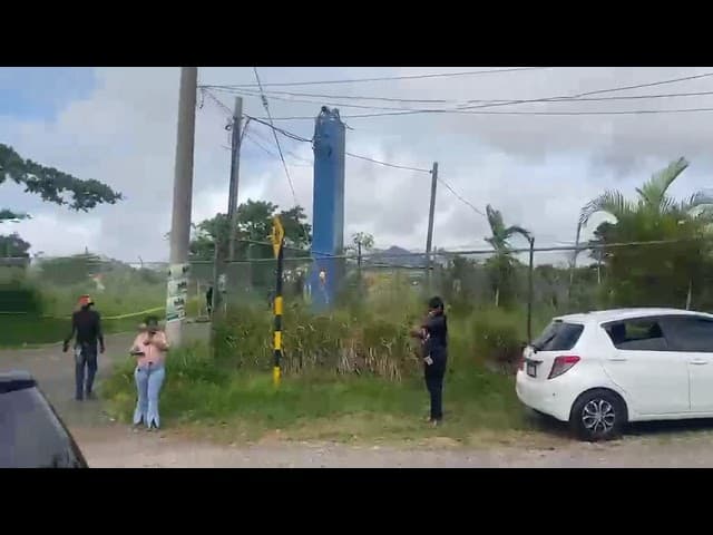 WATCH: Decomposing body found in Mandeville