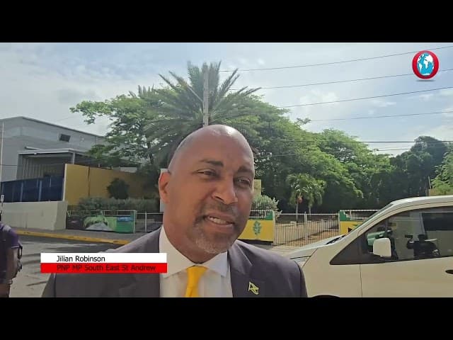 WATCH: Parliamentarians laud Ghana president visit to Jamaica as ‘significant’ and ‘timely’