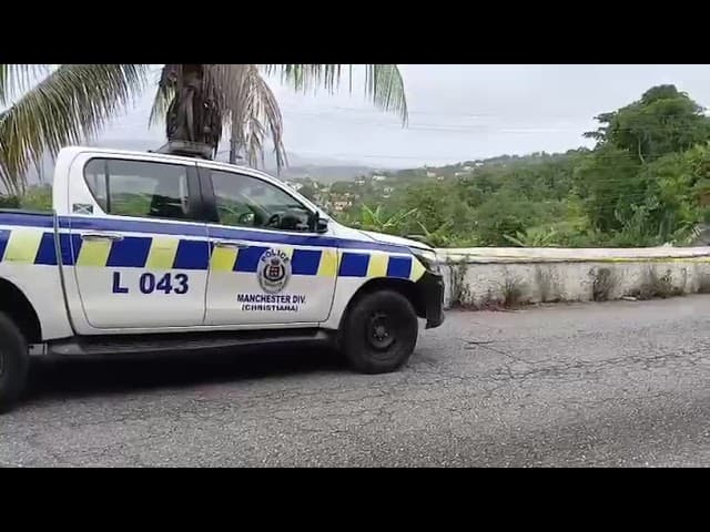 Woman among three fatally shot by police in Mandeville shootout