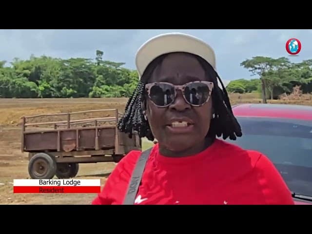 WATCH: Charles defends Barking Lodge aquaculture project, addresses safety concerns