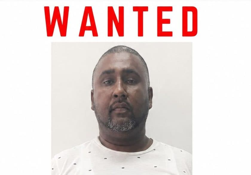 Police hunt two in $2.6M firearm license fraud