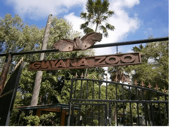 Protected Areas Commission announces the temporary closure of the Guyana Zoological Park