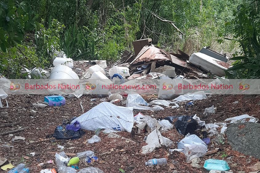 Illegal dumpers urged to clean up their act