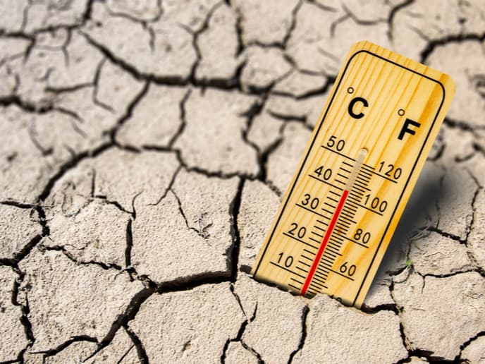 Drought persists as wet season begins with limited relief, BMS reports