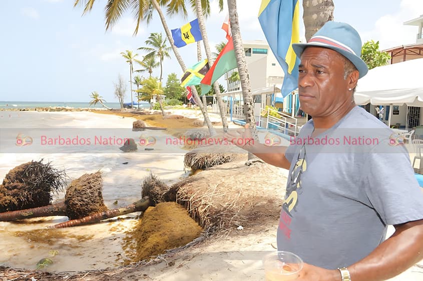 Concern over unstable trees
