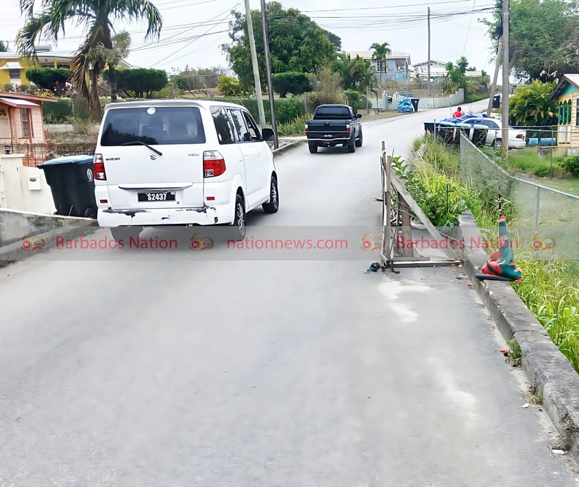 Arthur Seat bridge hazard dragging on, say residents