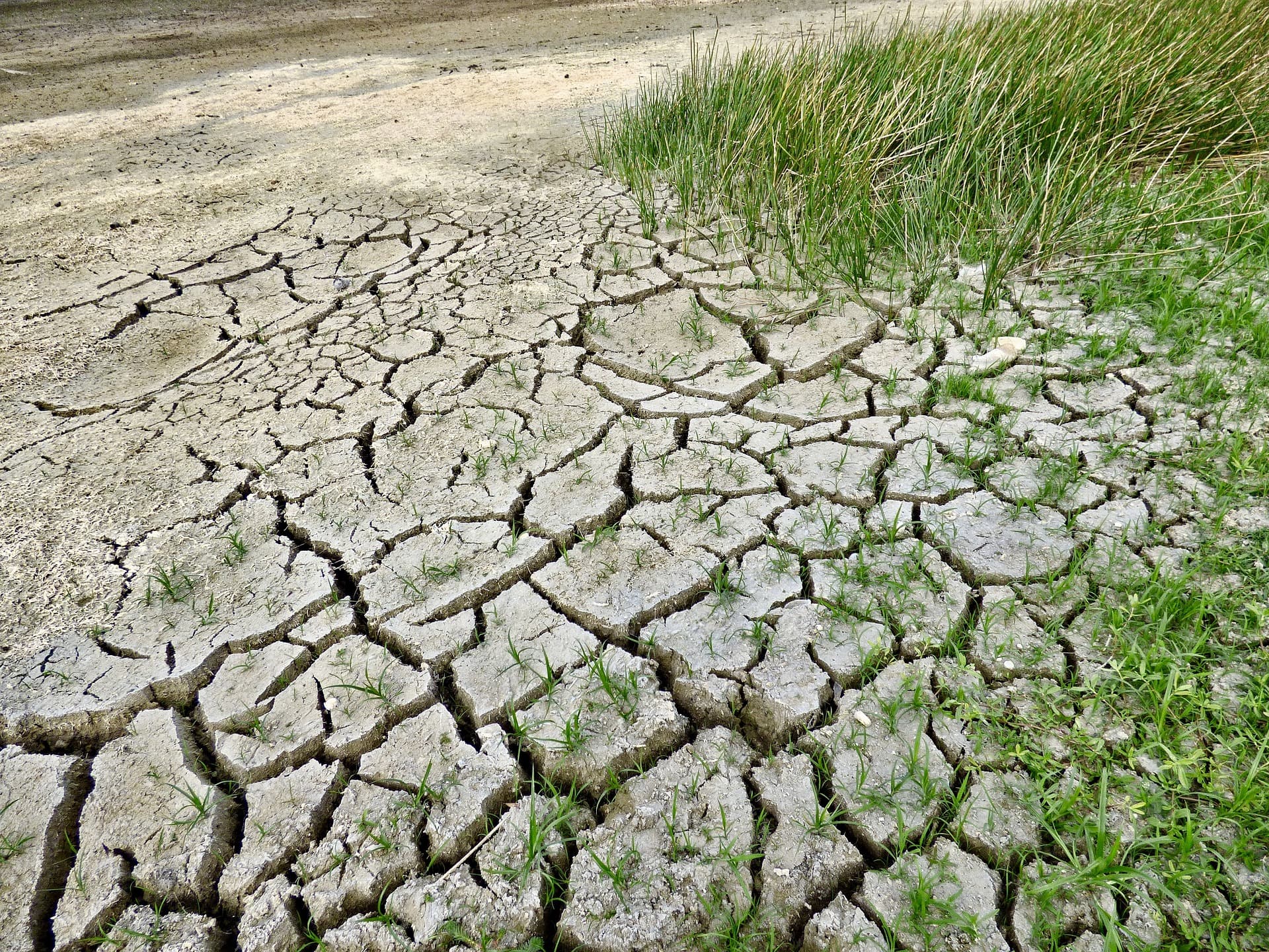 Met Office puts country on alert after continued drought in wet season