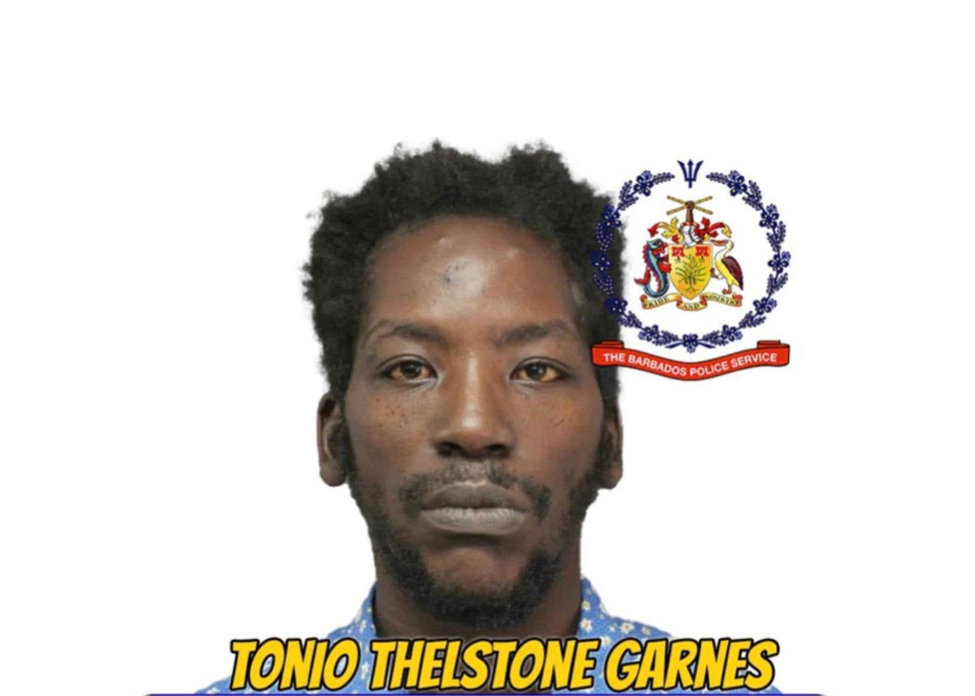 Wanted Man: Toni Thelstone Garnes
