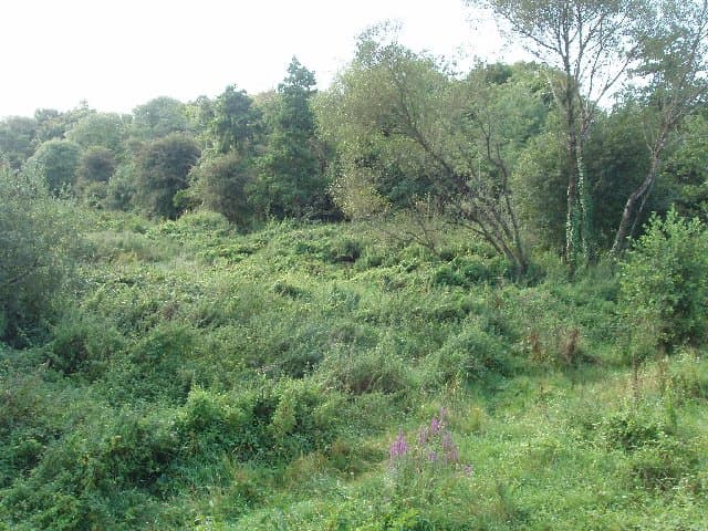 Hunting season is closed