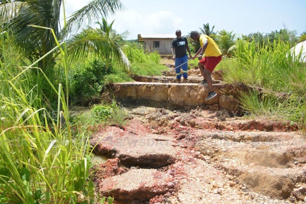 Los Iros farmers salvage crops after severe land slippage