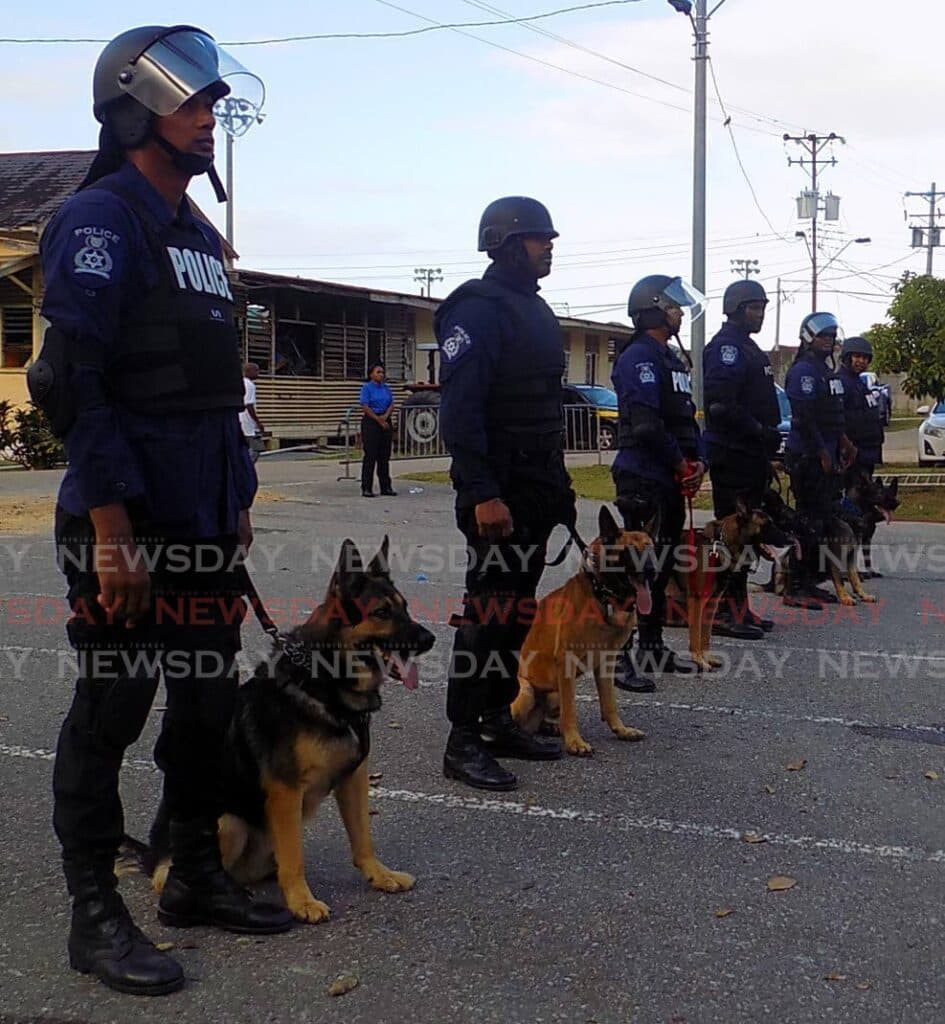 Emergency help for dogs in line of duty