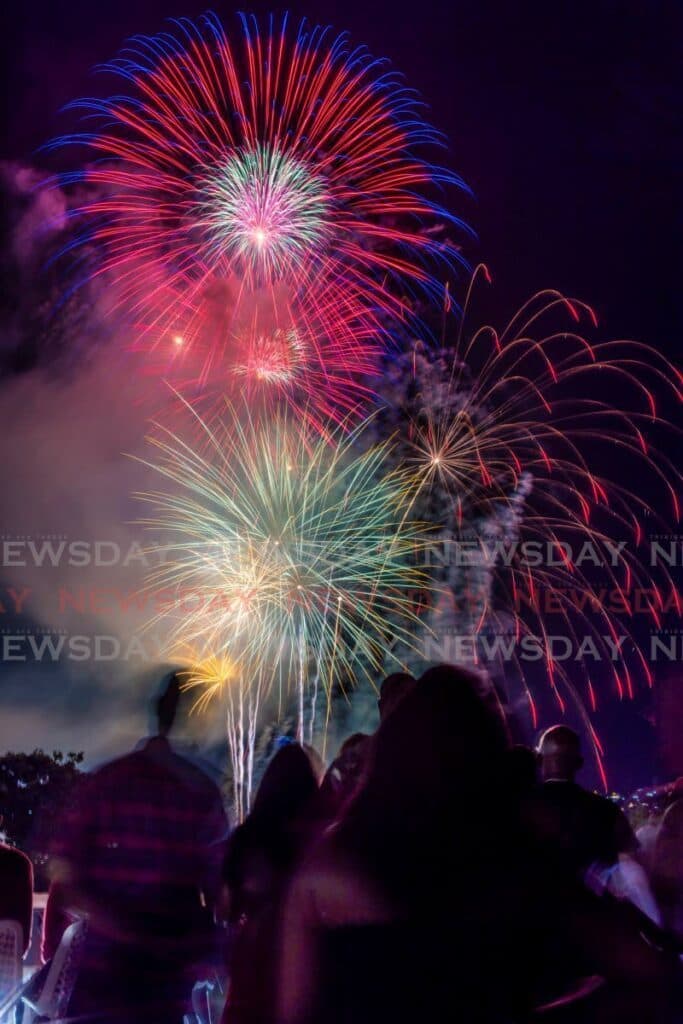 Citizens Against Noise Pollution: Fireworks Regulation Bill needs strengthening