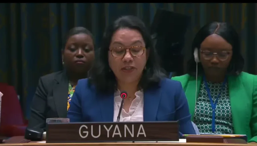 Ambassador Rodrigues pledges greater UN representation for developing countries