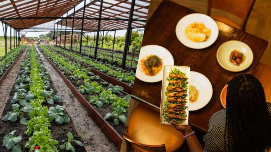 Government to connect farmers, hotels to expand local produce market