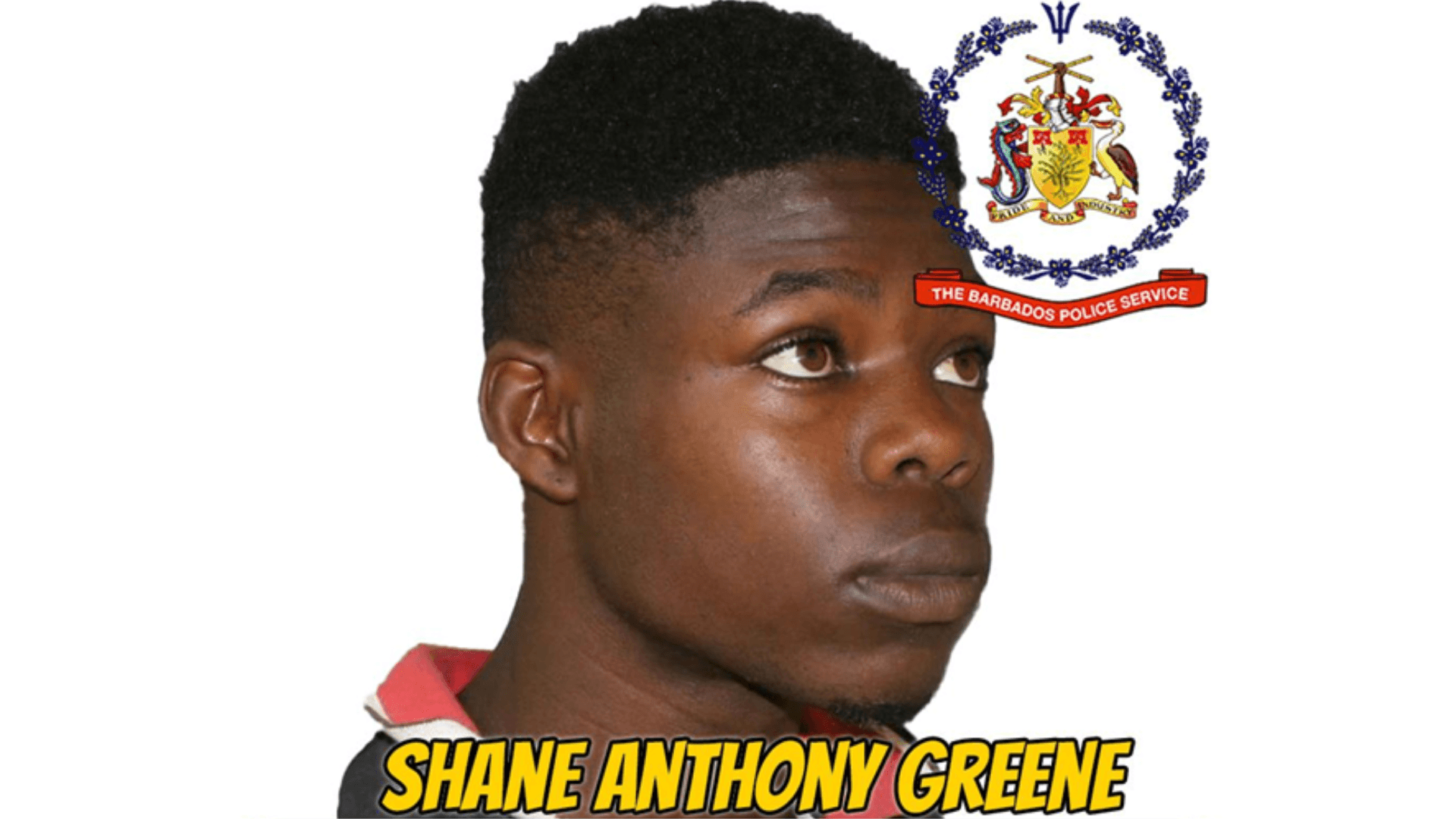 Shane Anthony Greene in police custody