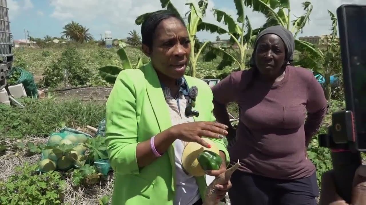 Ministry works with farmers to tackle pest problems