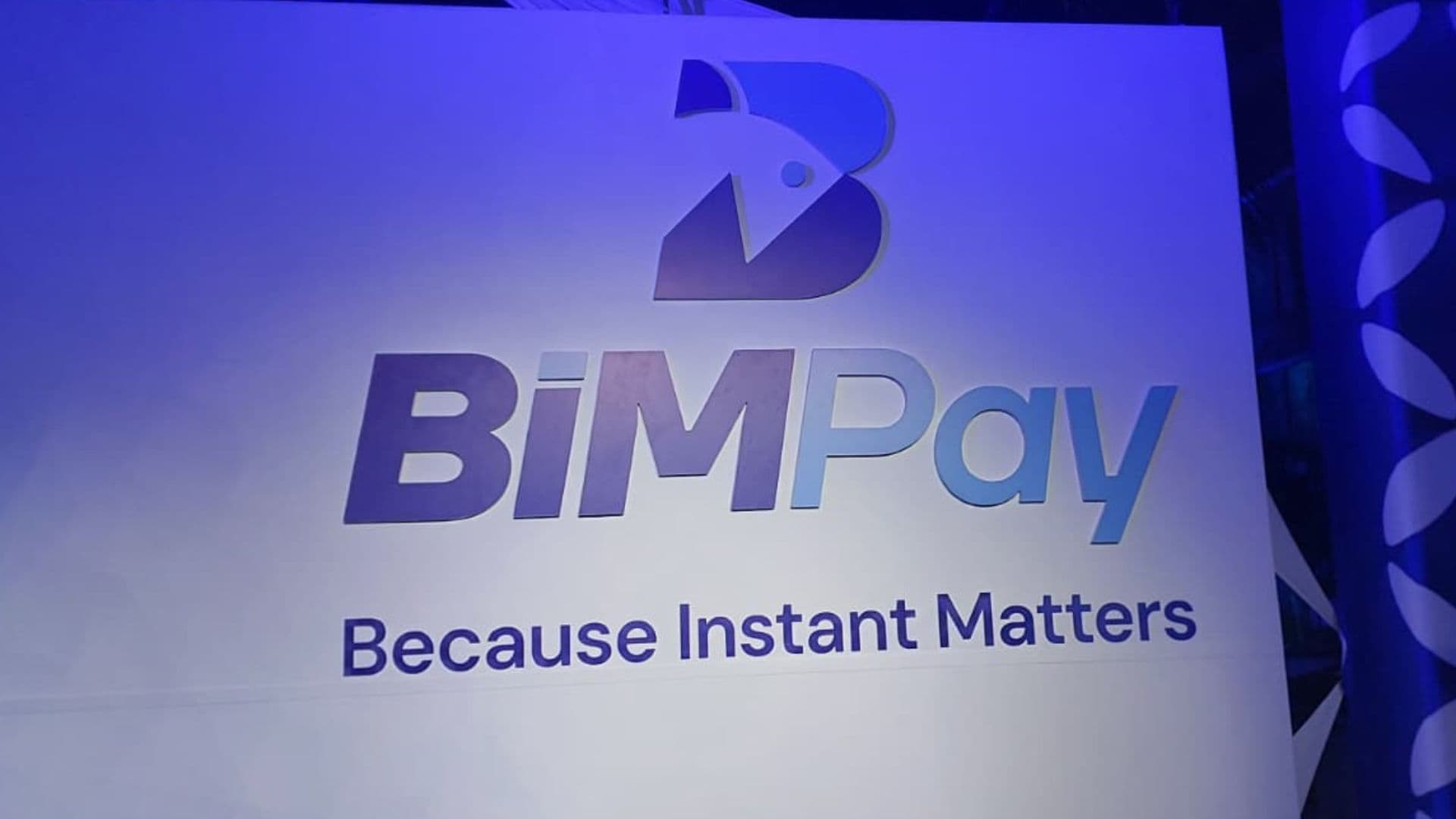 More than 11,000 downloads recorded as BiMPay faces registration delays