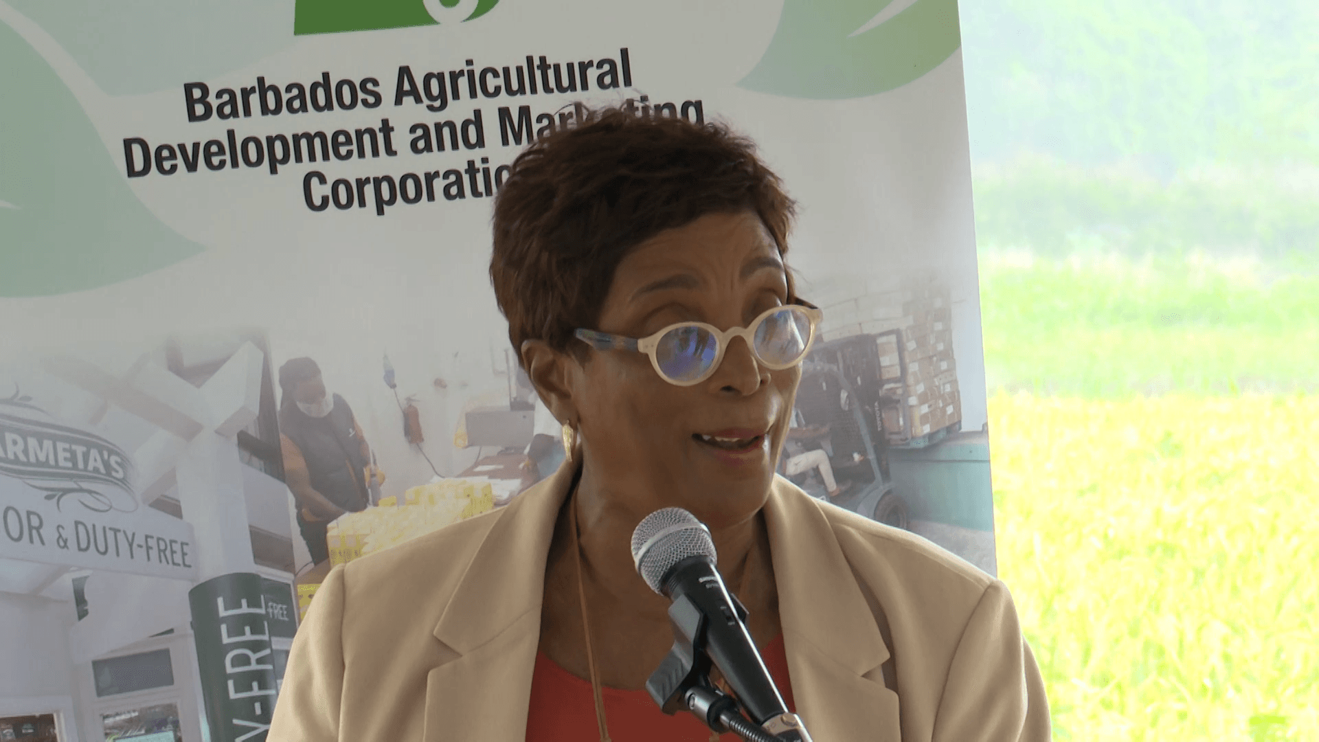 Minister calls for collaboration to strengthen food security