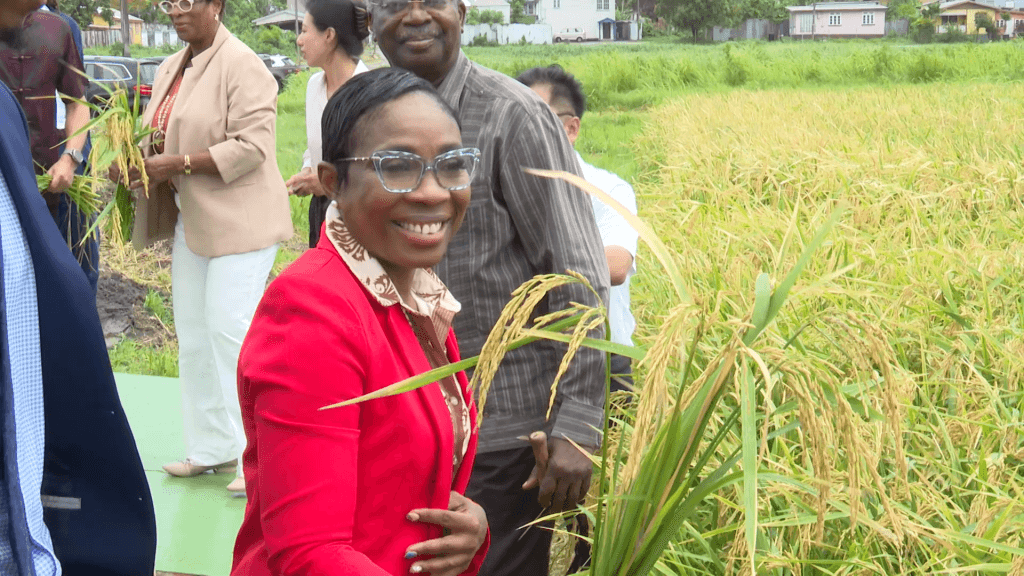 Agriculture Ministry preparing to launch Project CARE